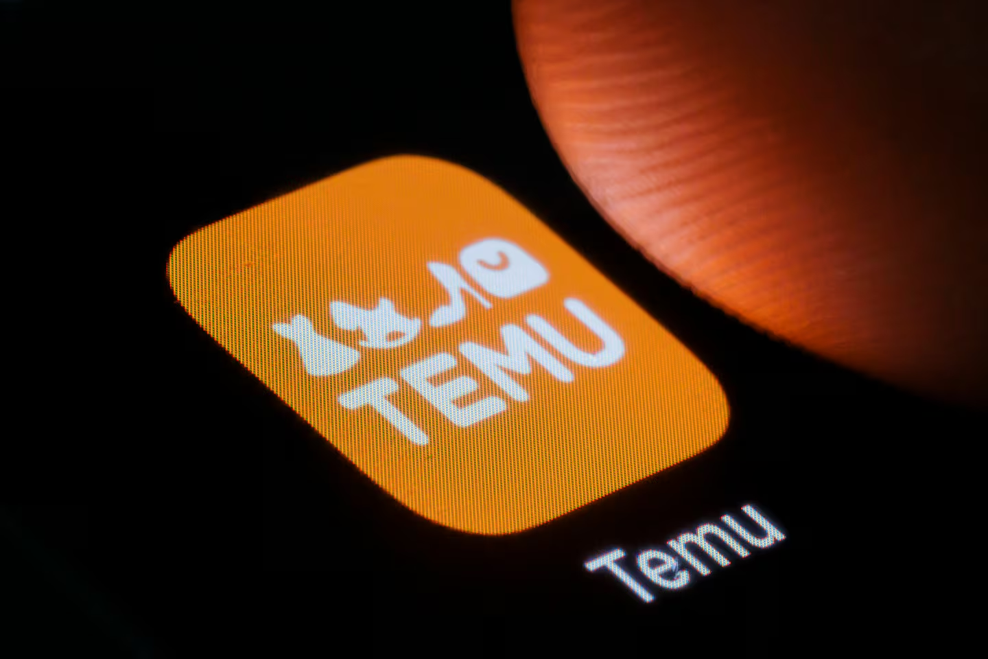 temu.png